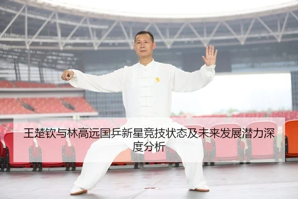 王楚钦与林高远国乒新星竞技状态及未来发展潜力深度分析